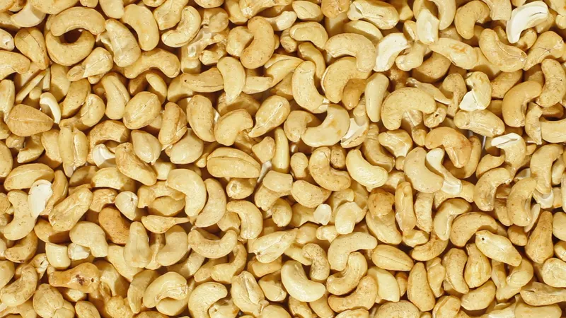 Cashew nuts fresh