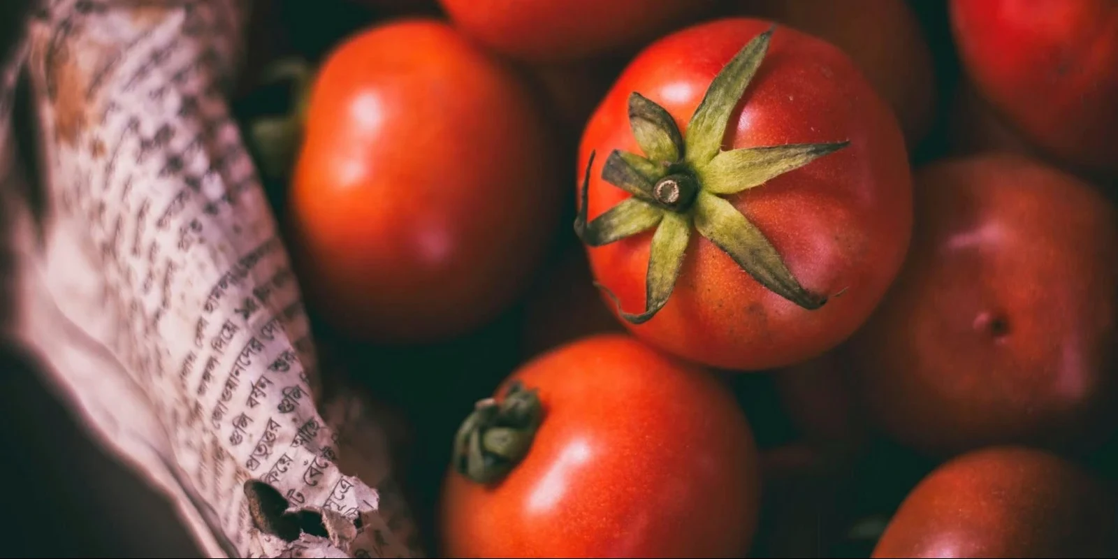 Tomatoes 2