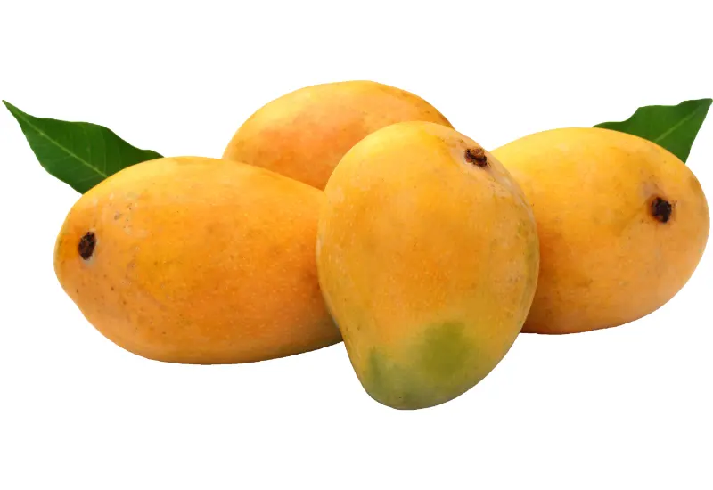 health advantages of mangoes