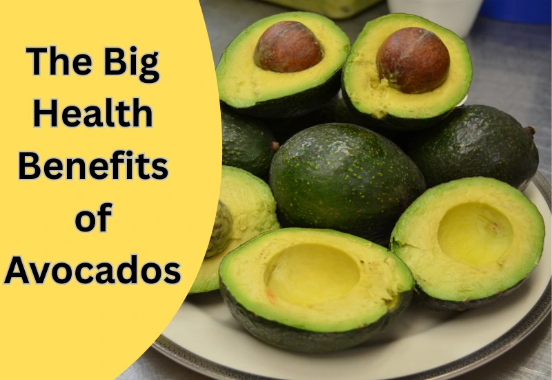 Fresh Avocados