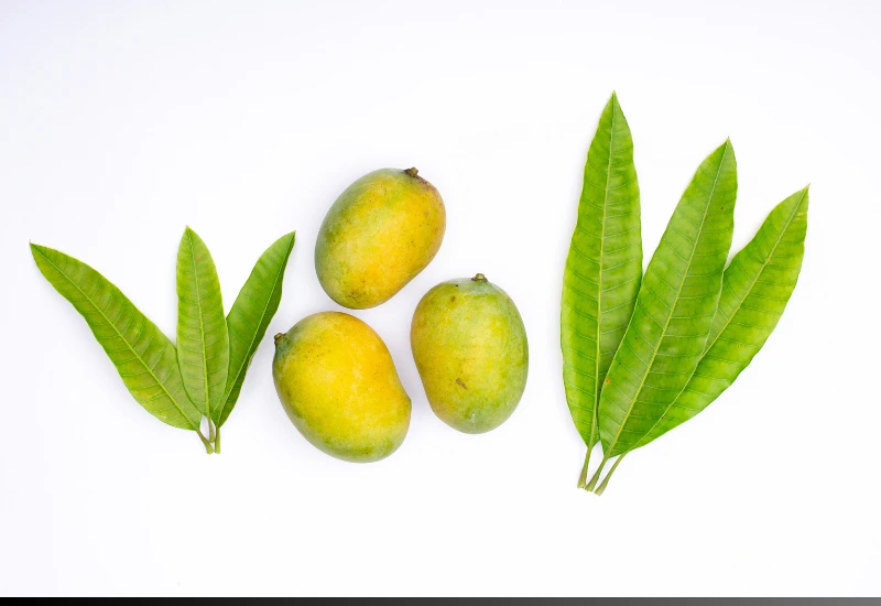 Mangoes Nigeria